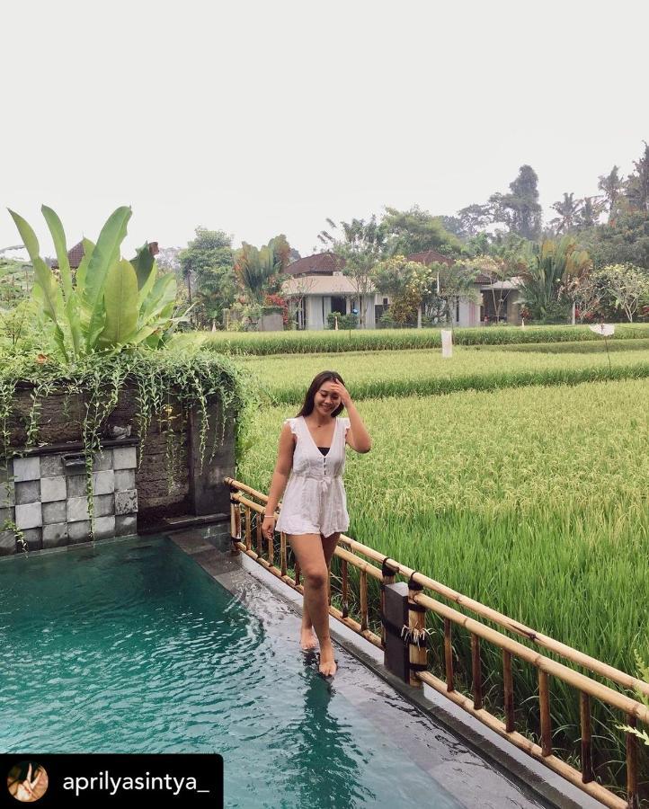 Nirankara Private Pool Villa - By Ubud Paradise Экстерьер фото